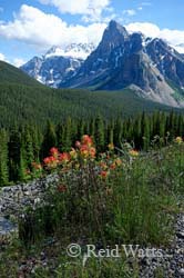 Alberta, Canada - Home to Banff and Jasper National Parks