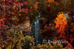 Raven Cliff Falls - Fall in the Carolinas