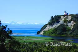 Kenai Gallery gives you a tiny taste of the beauty of the Kenai Peninsula which you should plan to visit before or after your cruise