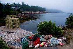 Maine Morning - Lobster Trappers Gear