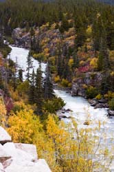 Tutshi River Colors, British Columbia