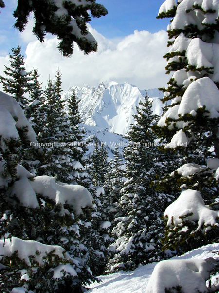 Mount Superior View