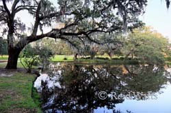 Reflecting Pond